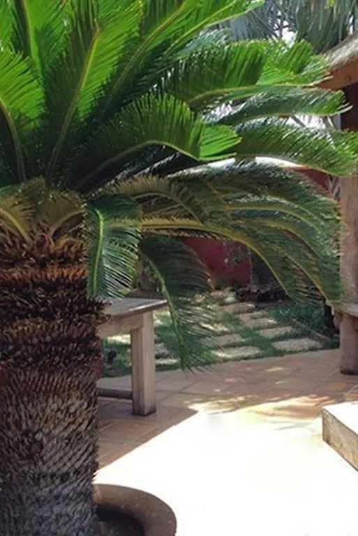 La Maison Aruba Apartment Tanki Leendert Aruba